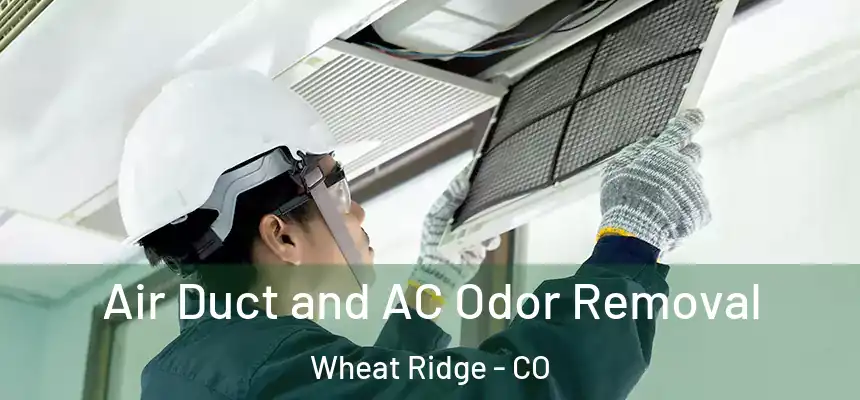 Air Duct and AC Odor Removal Wheat Ridge - CO