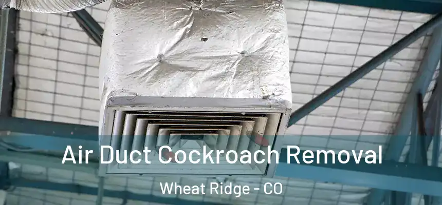  Air Duct Cockroach Removal Wheat Ridge - CO