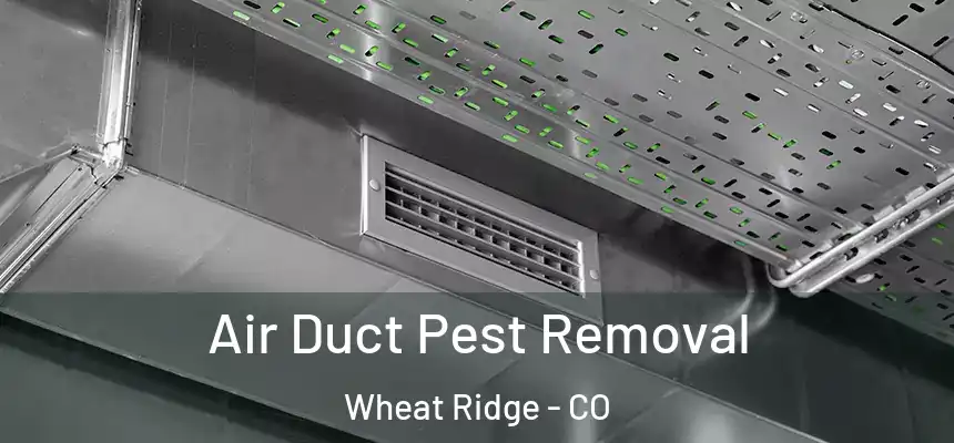  Air Duct Pest Removal Wheat Ridge - CO