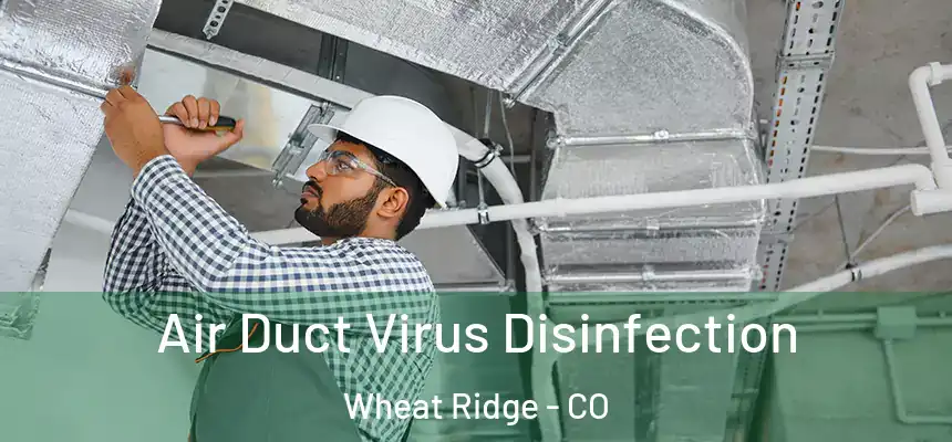 Air Duct Virus Disinfection Wheat Ridge - CO