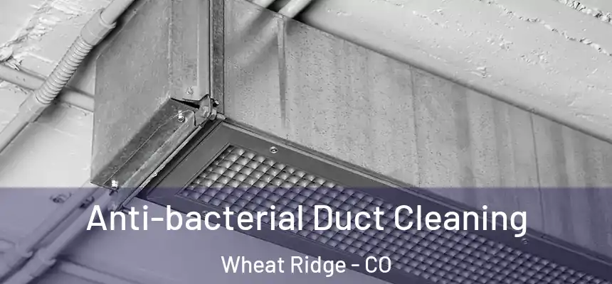  Anti-bacterial Duct Cleaning Wheat Ridge - CO