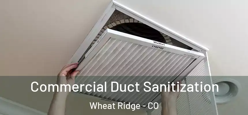  Commercial Duct Sanitization Wheat Ridge - CO