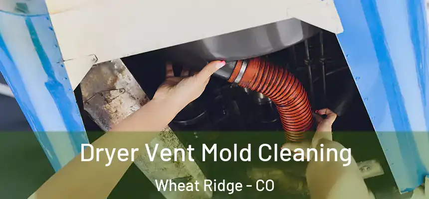  Dryer Vent Mold Cleaning Wheat Ridge - CO