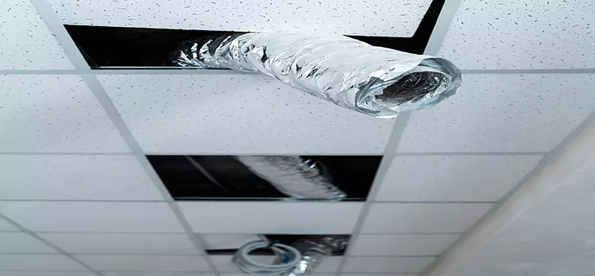 Our Air Duct Pet Hair Removal Services in Wheat Ridge, CO