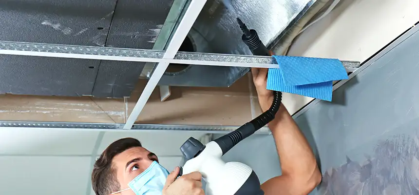 Our Air Duct Rodent Removal Services in Wheat Ridge, CO