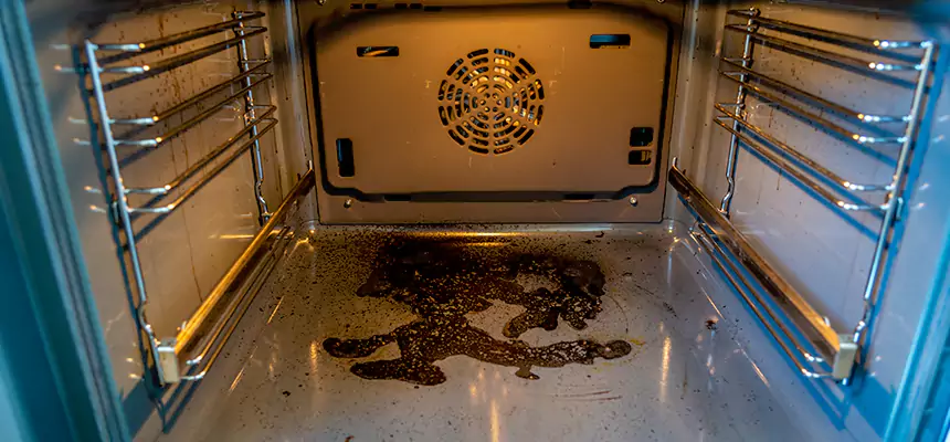 Our Dryer Vent Mold Cleaning Services in Wheat Ridge, CO