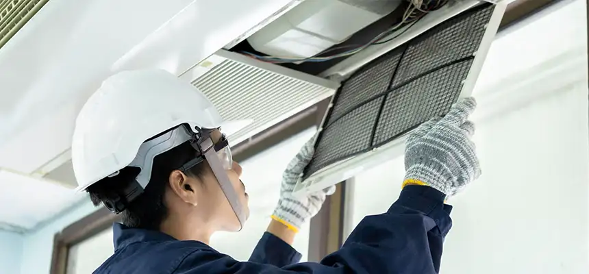 Our Lint Trap Cleaning Service Services in Wheat Ridge, CO