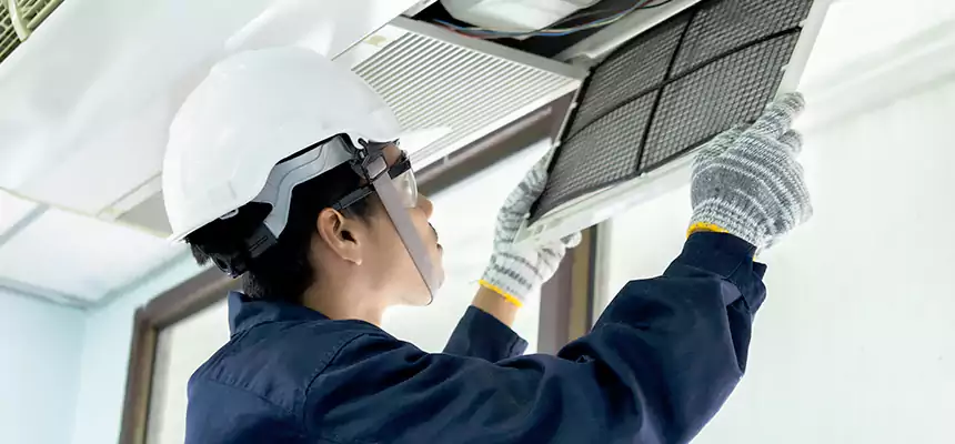 Our Mold & Mildew Removal from Air Ducts Services in Wheat Ridge, CO