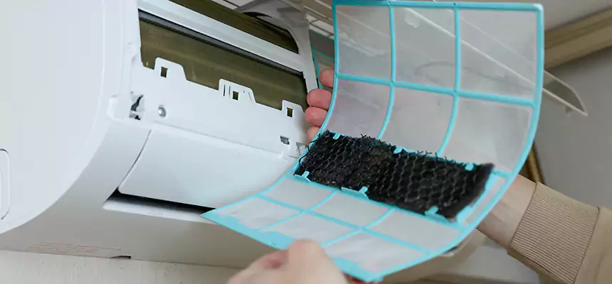 Gentle Ductwork Odor-Control Pet Dander Duct Cleaning in Wheat Ridge, CO