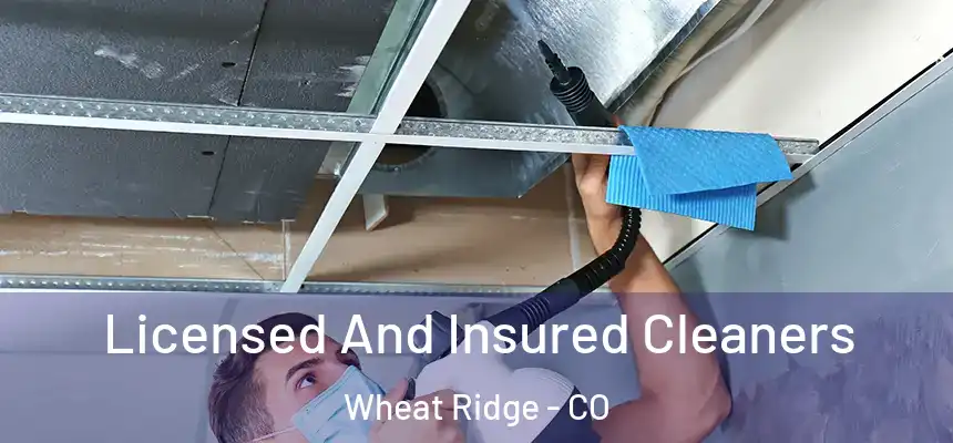 Licensed And Insured Cleaners Wheat Ridge - CO