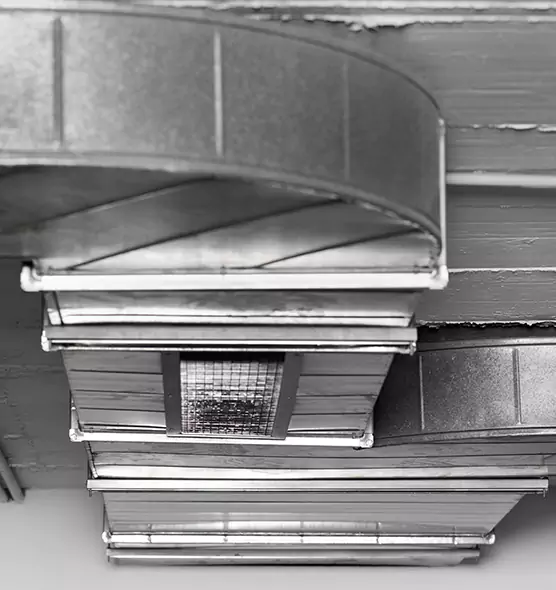 Professional Air Duct Pest Removal in Wheat Ridge, CO