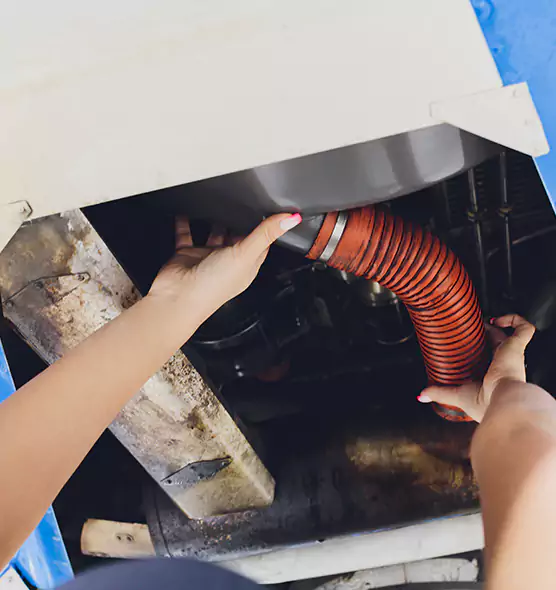 About Air Duct Virus Disinfection in Wheat Ridge, CO