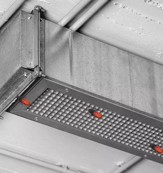 Affordable Insect Removal from Air Ducts in Wheat Ridge, CO