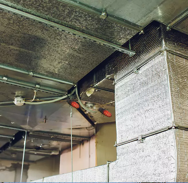 Why Homeowners & Businesses Trust Us in Wheat Ridge, CO?