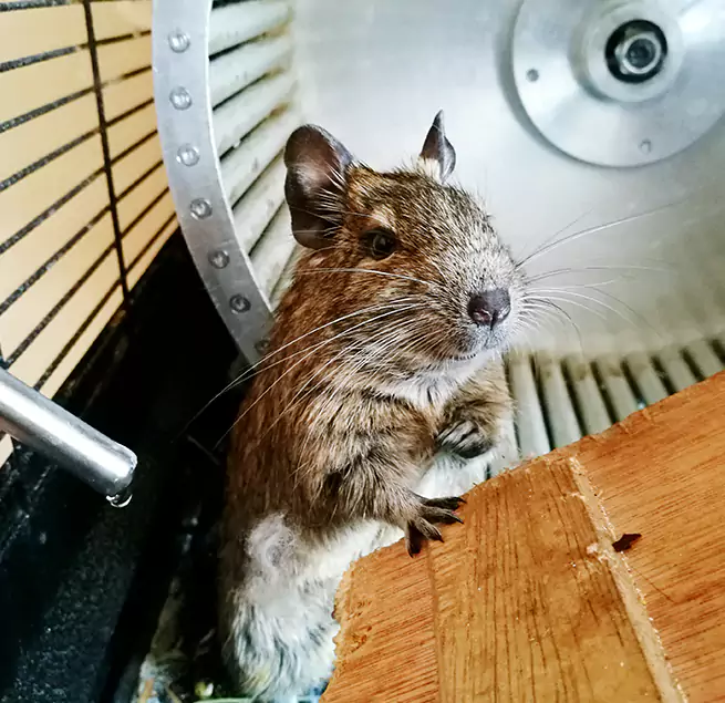 Why Homeowners & Businesses Trust Us Wheat Ridge, CO?