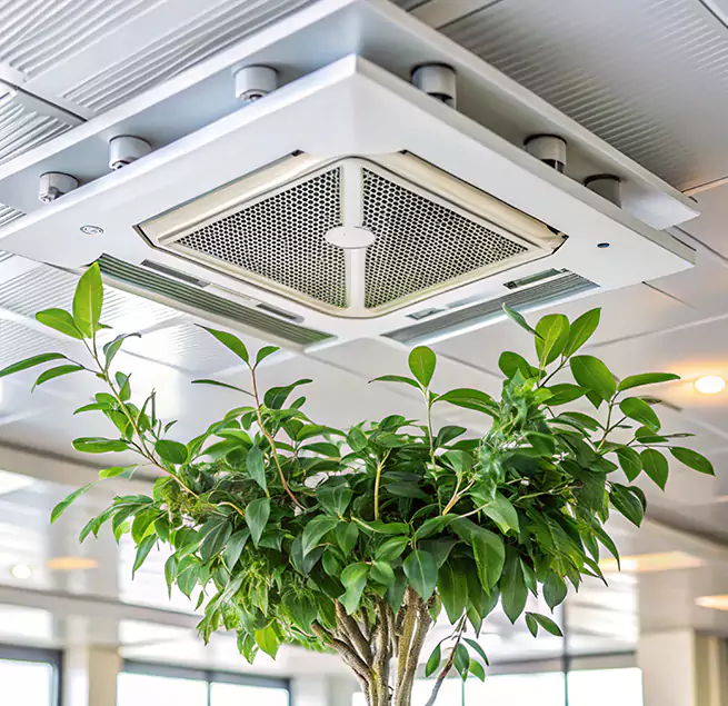 Why Homeowners & Businesses Trust Us in Wheat Ridge, CO